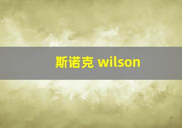 斯诺克 wilson